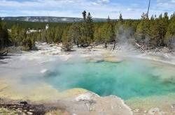 男子跌強(qiáng)酸溫泉遭溶解 男子姐姐用手機(jī)拍下全過程