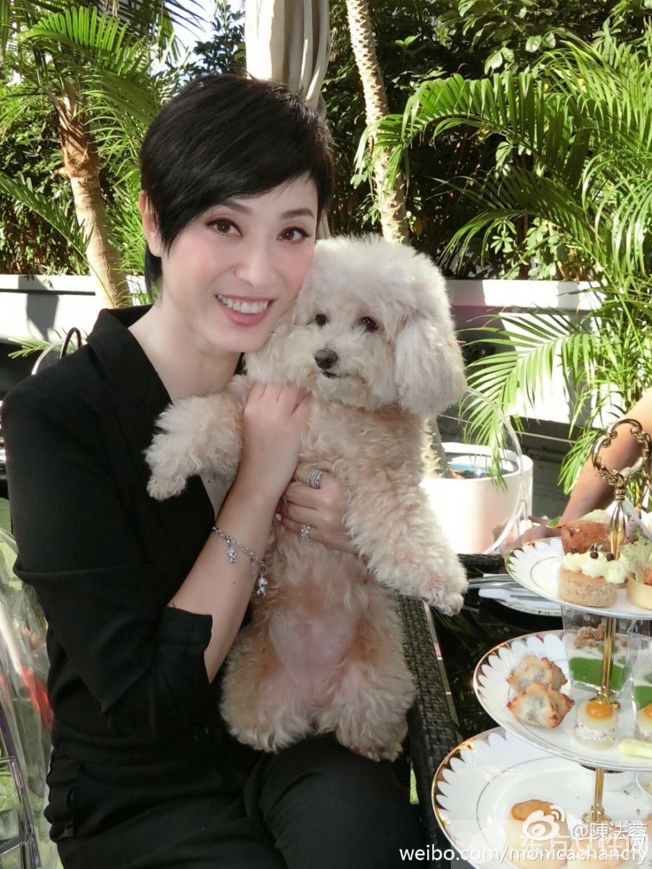 陳法蓉三級片有哪些 激情肉搏床照遭泄露