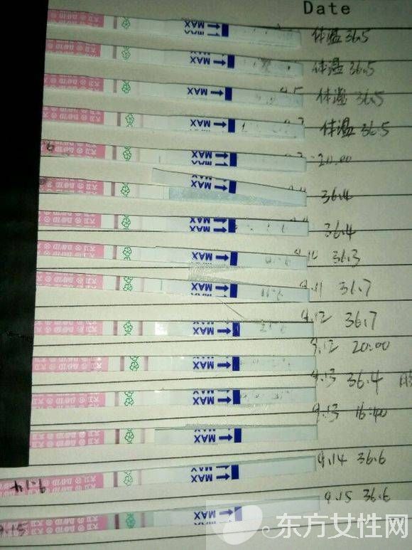 排卵試紙弱陽后多久排卵 排卵試紙一直弱陽是什么原因