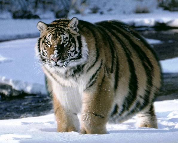 易胖體質(zhì)是一種怎樣的體驗(yàn) 血淚減肥史想想都心酸