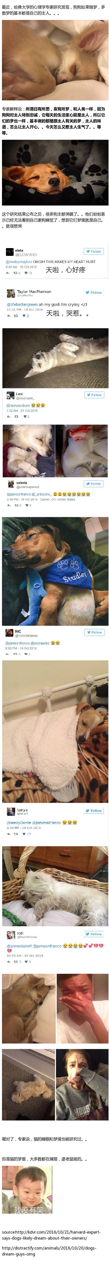 狗狗夢(mèng)境多數(shù)關(guān)于主人 養(yǎng)狗網(wǎng)友感動(dòng)的已哭瞎