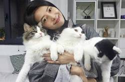 高圓圓懷孕了嗎 高圓圓個人資料曝光