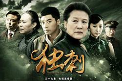 電視劇《獨刺》劇情介紹 《獨刺》演員表