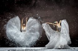 楊麗萍住所曝光 依山傍水如世外桃源