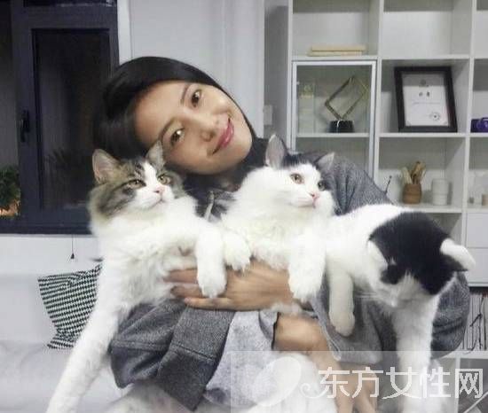 高圓圓懷孕了嗎 高圓圓個人資料曝光