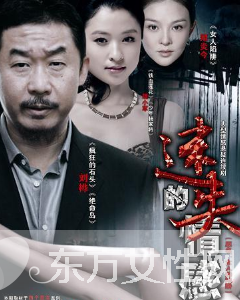 24集電視劇《迷失的情感》劇情介紹 迷失的情感演員表大結(jié)局