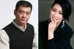 王新軍老婆秦海璐個(gè)人資料 揭與前妻唐靜離婚真相