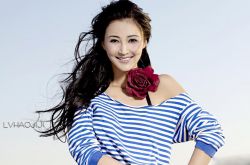 張歆藝整容前后對(duì)比驚人 揭張歆藝與前夫楊樹鵬離婚內(nèi)幕