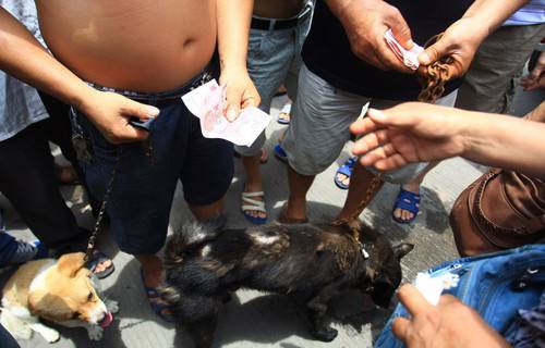 玉林狗肉節(jié)辯論會(huì) 玉林狗肉節(jié)殺狗圖片