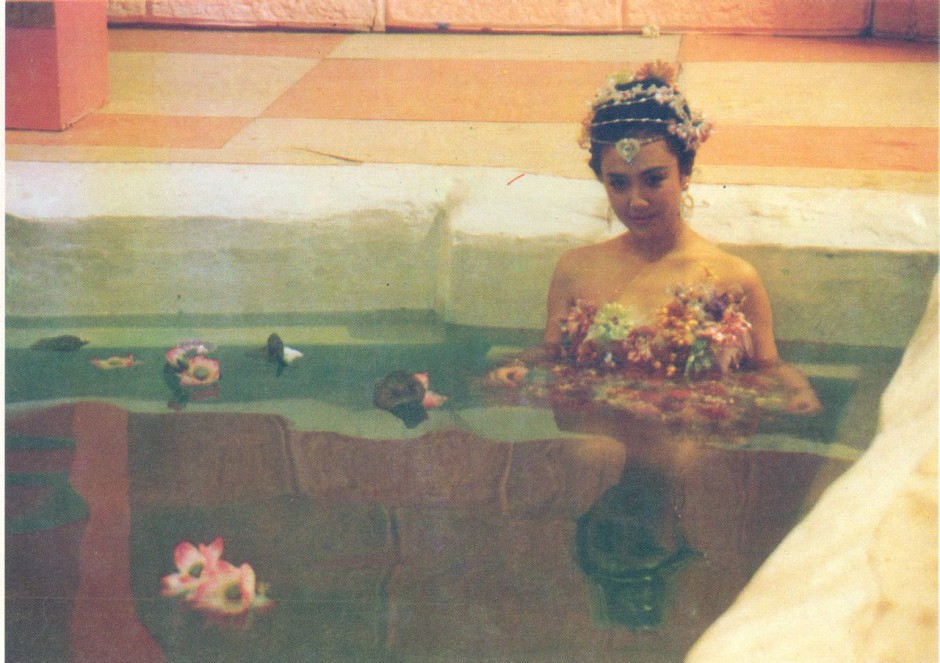 傅藝偉兩任老公資料 傅藝偉前夫楊曉丹簡(jiǎn)介