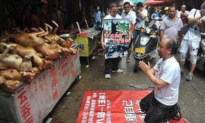 玉林狗肉節(jié)辯論會(huì) 玉林狗肉節(jié)殺狗圖片