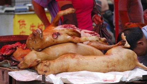 玉林狗肉節(jié)辯論會(huì) 玉林狗肉節(jié)殺狗圖片
