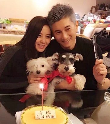 吳奇隆劉詩詩明年辦婚禮 現(xiàn)場或像水世界科幻