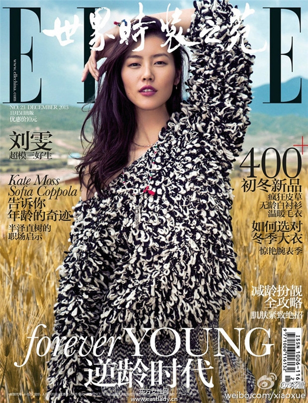劉雯Liu Wen《Elle》2013年12月中國版