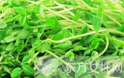 2017單品盛宴 時尚喇叭袖正式回歸