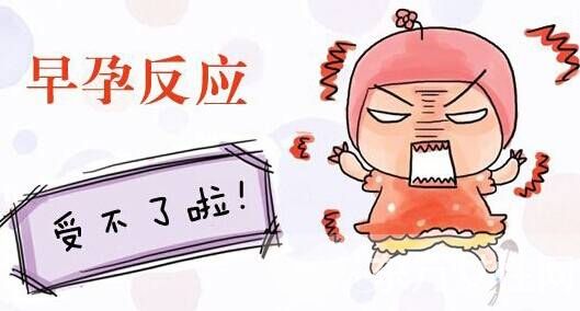 孕前檢查的最佳時(shí)間 孕前檢查的注意事項(xiàng)有哪些