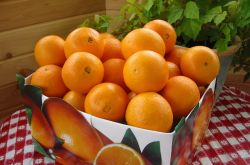 孕婦可以吃橙子嗎  孕期吃什么寶寶皮膚白