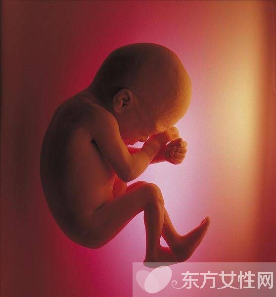 胎兒發(fā)育遲緩的原因 胎兒宮內(nèi)發(fā)育遲緩的危害