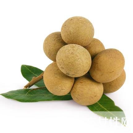 孕婦可以吃龍眼嗎 適合孕媽夏天食用的水果