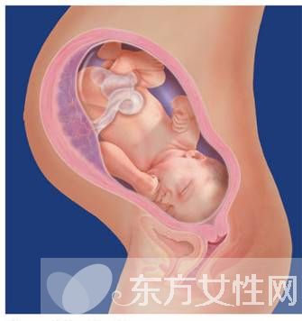 胎兒發(fā)育遲緩的原因 胎兒宮內(nèi)發(fā)育遲緩的危害