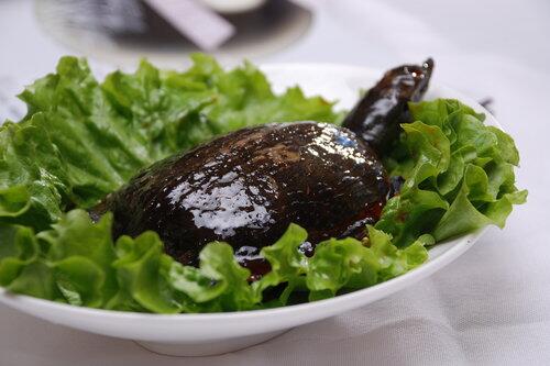 孕婦能吃鱉嗎 鱉有哪些營養(yǎng)價值