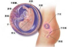 胎兒宮內(nèi)發(fā)育遲緩怎么辦 這些方面一定要注意