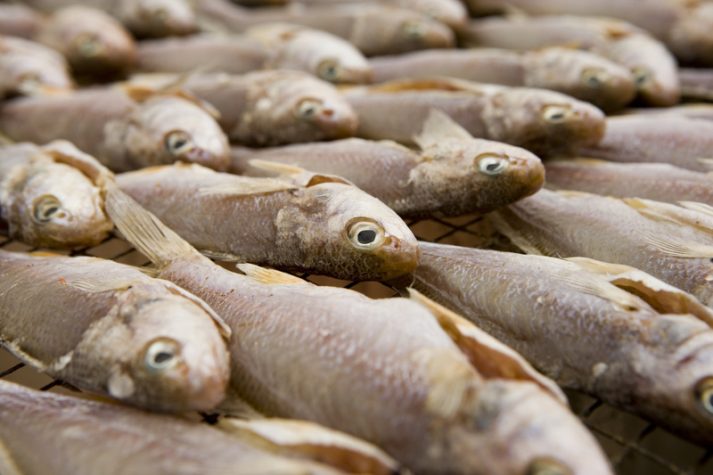 孕婦吃什么魚好 孕期孕婦吃魚的注意事項