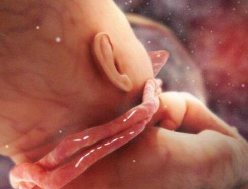 孕期胎兒缺氧的表現(xiàn)癥狀 準(zhǔn)媽媽趕緊來(lái)看看