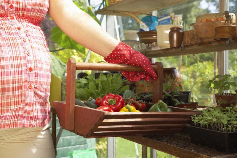 懷孕初期飲食有講究 10類食物不要吃