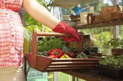 懷孕初期飲食有講究 10類食物不要吃