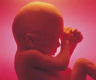 孕期胎兒缺氧的表現(xiàn)癥狀 準(zhǔn)媽媽趕緊來(lái)看看