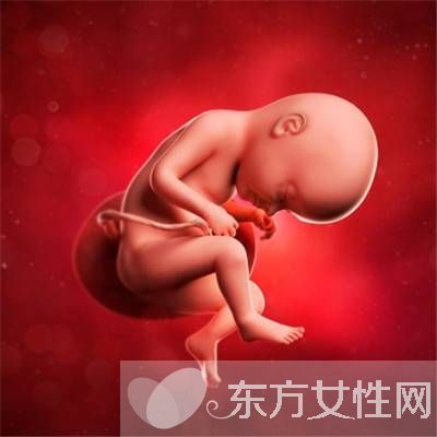 胎兒多少周入盆 胎兒臍帶繞頸應這樣做