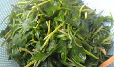 孕婦吃什么菜好 揭孕期最宜吃的七種蔬菜