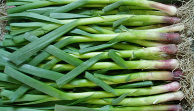 孕婦可以吃蒜苗嗎 論蒜苗的營養(yǎng)價值