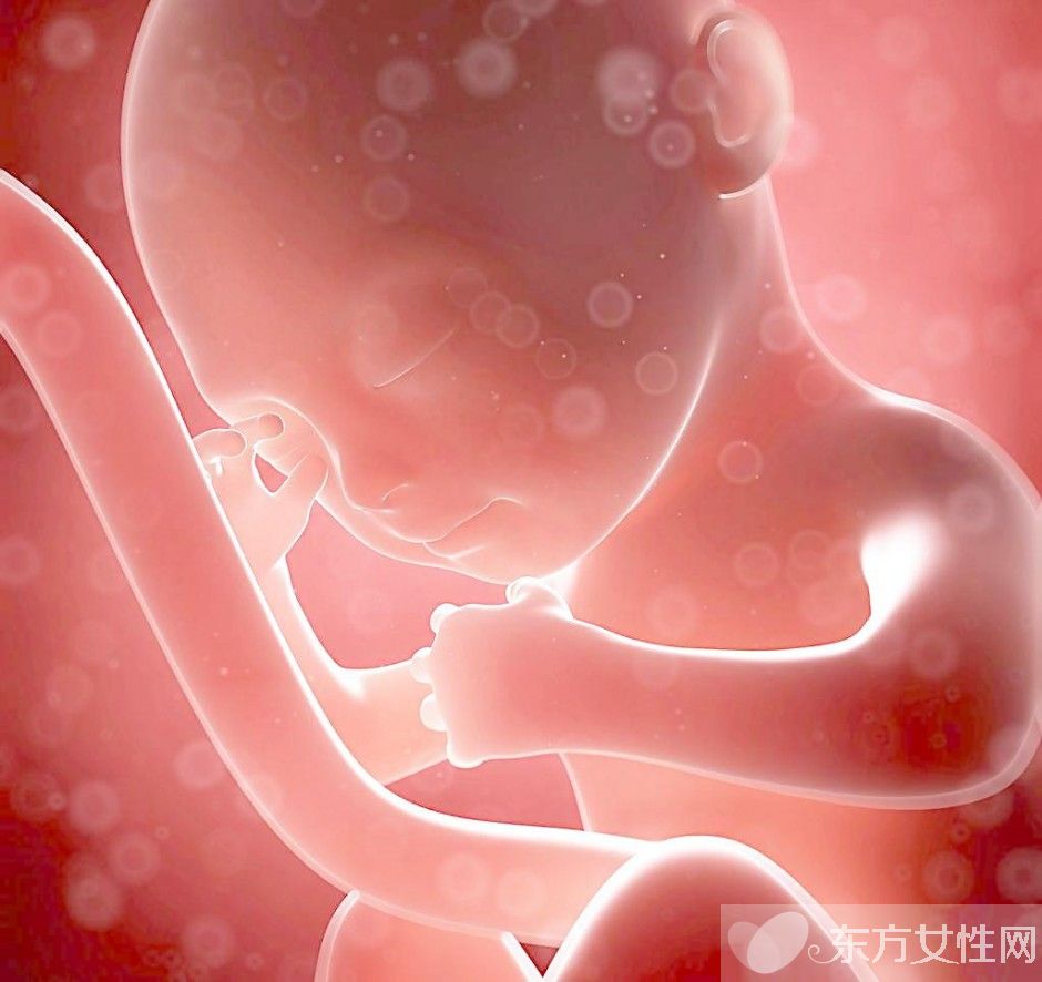 胎兒多少周入盆 胎兒臍帶繞頸應這樣做