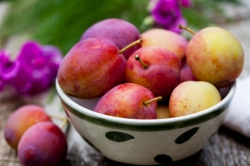 李子也具備養(yǎng)顏美容功效 孕婦可以吃李子嗎