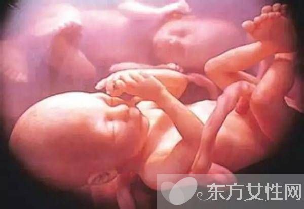 臍帶血有必要保存嗎 臍帶血別扔可以救命的