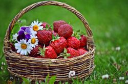 哺乳期能吃什么水果  哺乳期吃水果有什么好處