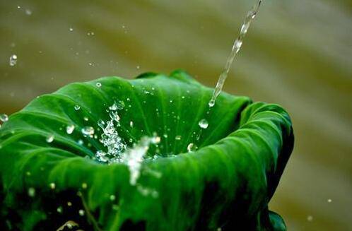 專治小孩流鼻血的偏方 寶媽一定要收藏