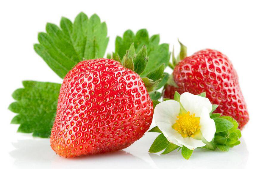 寶寶流鼻血要警惕 可能是白血病惹的禍