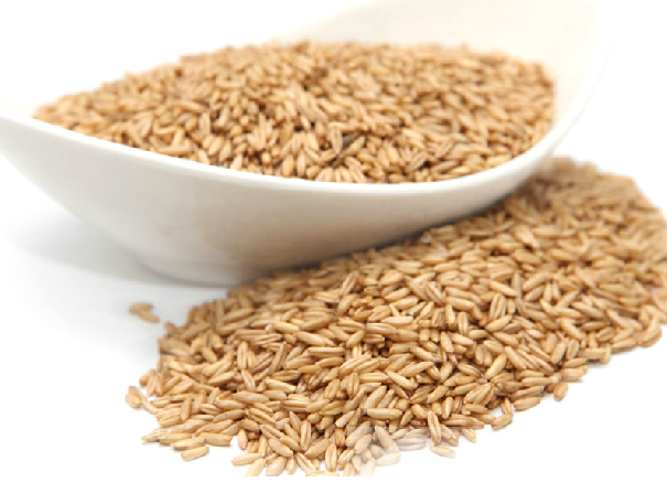 燕麥米的作用 吃多了會有什么副作用