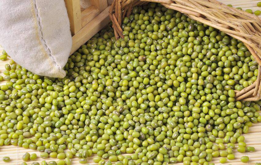 小孩夏天吃什么好 做到 七不要 很關(guān)鍵