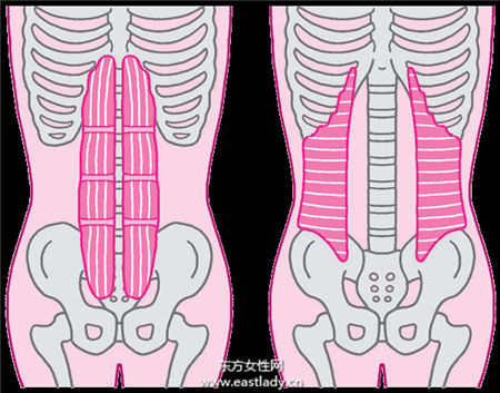 肚子老減不下去 原來是姿勢錯了