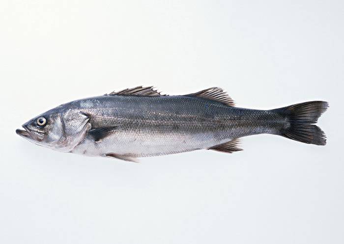 冬季快速減肥方法 5種食物要多吃