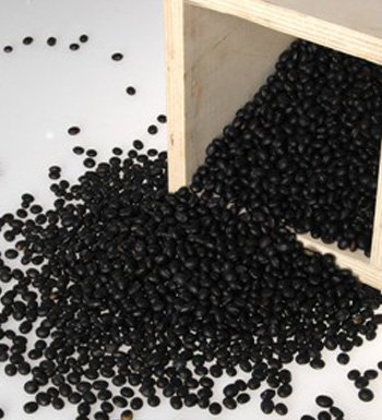 黑豆減肥法 瘦身養(yǎng)顏治便秘