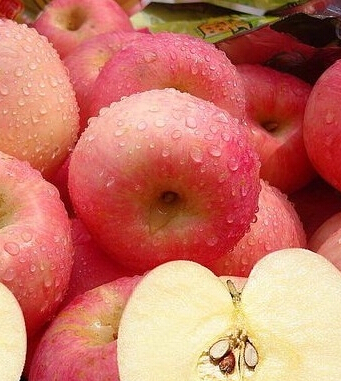 怎么減肥 十大減肥謬論你知道嗎