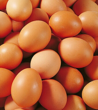 怎么減肥不反彈 不反彈的四個減肥方法