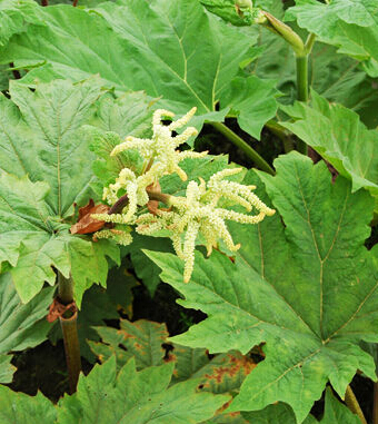 中醫(yī)減肥方法 六種方法瘦身不反彈