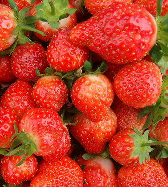 吃什么水果減肥最快 5大技巧讓你拒絕脂肪