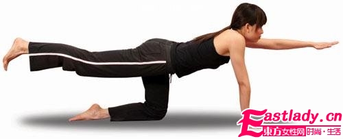 貓式瑜珈減肥 修煉優(yōu)雅姿勢(shì)